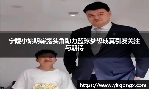 宁陵小姚明崭露头角助力篮球梦想成真引发关注与期待