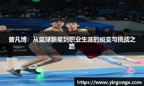 完美体育官网